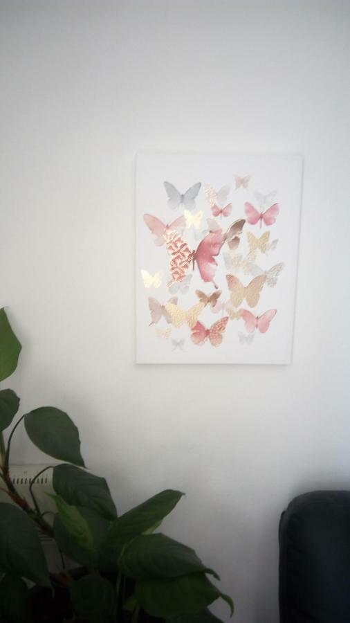 Apartment Butterfly Split - For Rest And Relaxation Buitenkant foto
